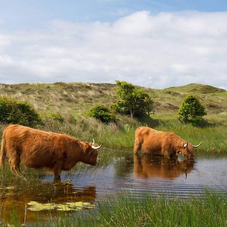 Bnb Westerduinen, De Bollekamer Bed & Breakfast De Koog  Eksteriør bilde